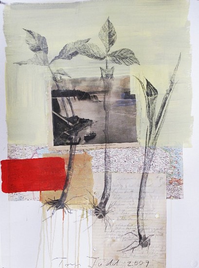 TOM JUDD, NIAGRA
mixed media and paper