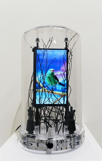 DAVID ZIMMER, LONESOME BIRD 1
LCD video and mixed media