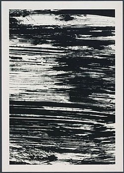 31 LG