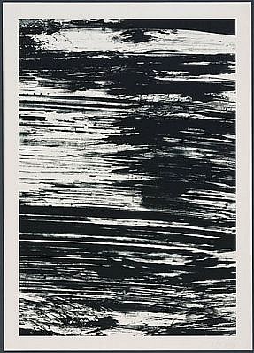 ELLSWORTH KELLY, THE AMAZON: THE STATES OF THE RIVER 18/25
lithograph