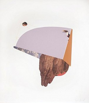 BEARD ToucanRock LG