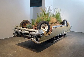 BULTMAN BufaloBlanco Front LG