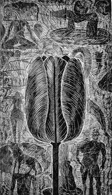 JOHN BUCK, TULIP
woodblock rubbing