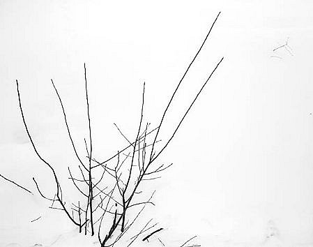 EDIE WINOGRADE, FIGURE/GROUND FROZEN: UNTITLED #13
silver gelatin photograph