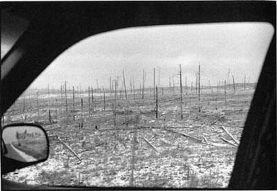 CHUCK FORSMAN, Dead of winter, Northern Cheyenne Indian Reservation, Montana
black & white photograph