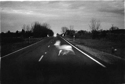 CHUCK FORSMAN, Intruders, near Roundup, Montana
black & white photograph