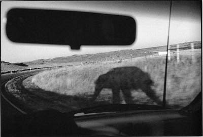 CHUCK FORSMAN, Shadow dance, central Wyoming
black & white photograph