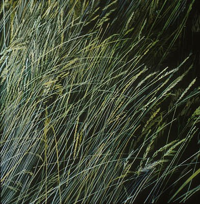 KAREN KITCHEL, PROMONTORY 5
oil on wood