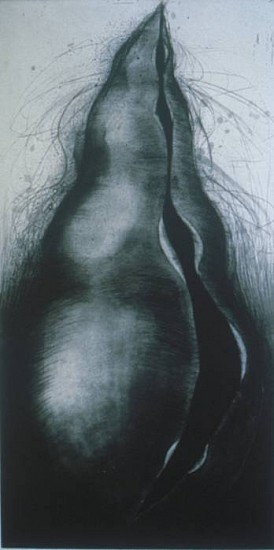 TANJA SOFTIC, PEELING, 10/12
etching, mezzotint, drypoint