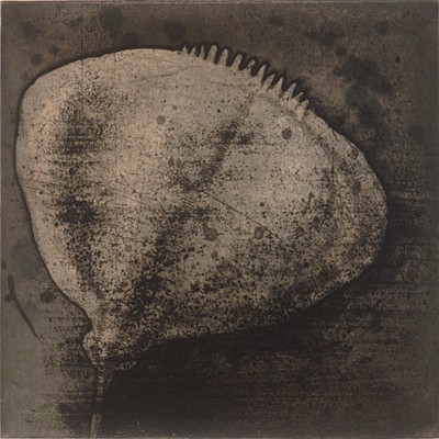 TANJA SOFTIC, ANEMONE, 12/12
etching / chine colle