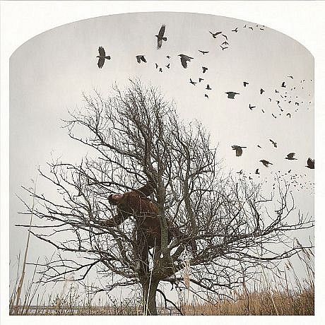 KAHN + SELESNICK, RAVEN TREE  Ed. 5
pigment print