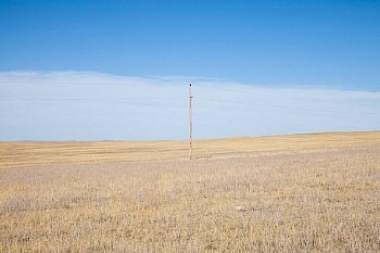 LandMarkII(EI 4195) LG