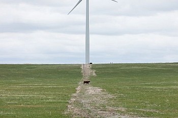 LandofManyUses(EI 1106) LG