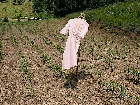 LUCAS FOGLIA, SCARECROW, TENNESEE  Ed. 5
digital c-prints on Fuji Chrystal Archive paper