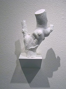 MCENROE Fragment Burled LG