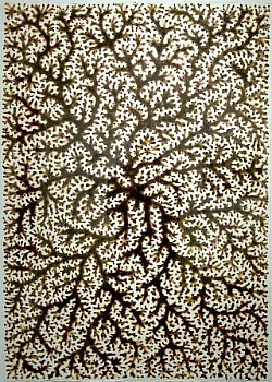 MILLER,BURNEDDRAWINGB1,41.5X29.5 LG