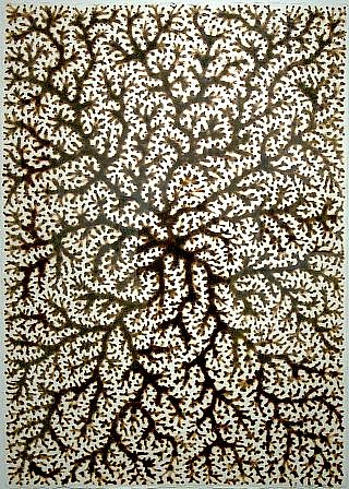 BRAD MILLER, Burned Drawing # B1
burned watercolor paper