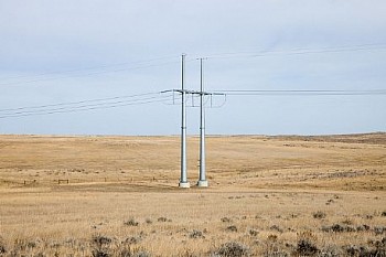 PastoralElectomagneticField(EI 3897) LG