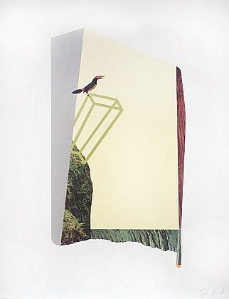 TYLER BEARD, A TOUCAN PERCHED ON GREEN
collage