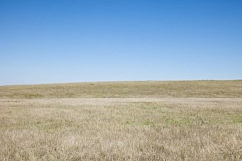 Untitled(SH 3439) LG