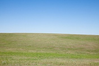 Untitled(SH 3467) LG