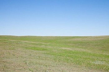 Untitled(SH 3468) LG