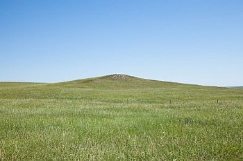 Untitled(SH 3477) LG