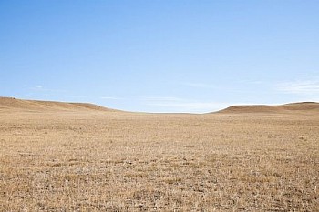 Untitled(SH 3702) LG