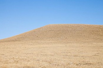 Untitled(SH 3707) LG