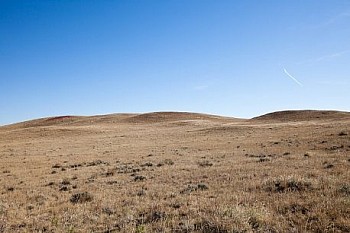 Untitled(SH 4098) LG