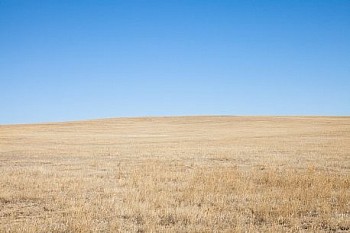 Untitled(SH 4207) LG