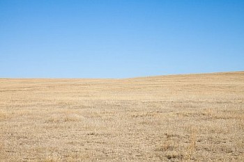 Untitled(SH 4201) LG