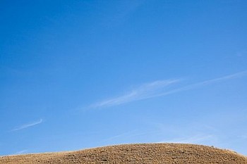 Untitled(SH 4743) LG