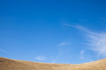 Untitled(SH 4745) LG