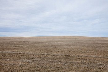Untitled(SH 5613) LG