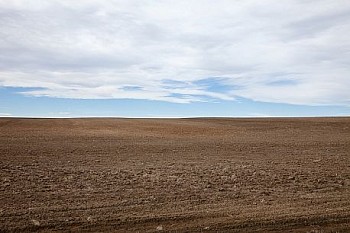 Untitled(SH 5682) LG