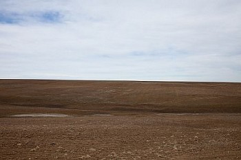 Untitled(SH 5692) LG