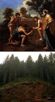 web 19poussin clearcutting LG