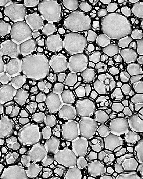 web bubble 3 LG