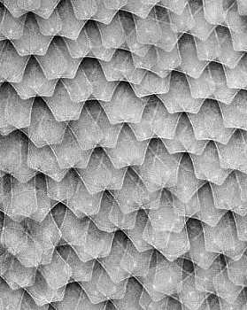 web bubble 9 LG