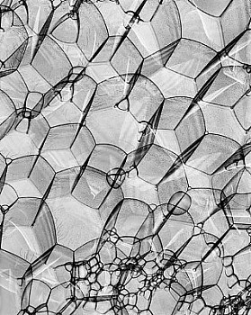 web bubble 15 LG