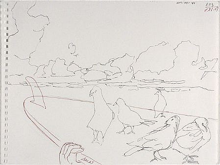 JACK BALAS, HNL O7 #41 PIGEONS SURFBOARD
ink on paper
