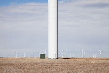 web KevinOConnell W352 LG