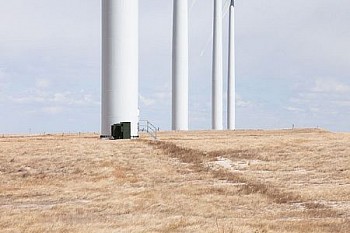 web KevinOConnell W704 LG