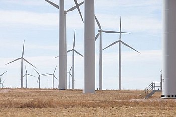 web KevinOConnell W712 LG