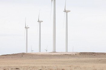 web KevinOConnell W848 LG