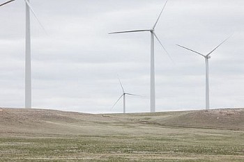 web KevinOConnell W955 LG