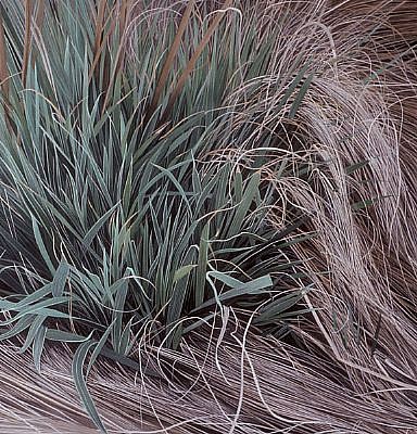 KAREN KITCHEL, BIG BUNCH #1
oil on panel