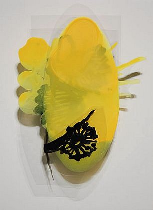 KATY STONE, UNTITLED (MONARCH  2)
Acrylic on Duralar, mounted on lacquered panel in plexi box