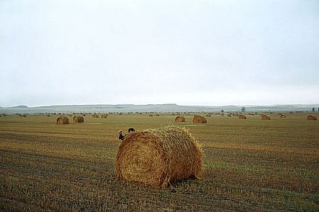 WILLIAM LAMSON, RT 94, NORTH DAKOTA  1/12 "ME IN AMERICA'
C-print